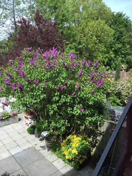 Delft Blue Dreams Bed And Breakfast Стая снимка
